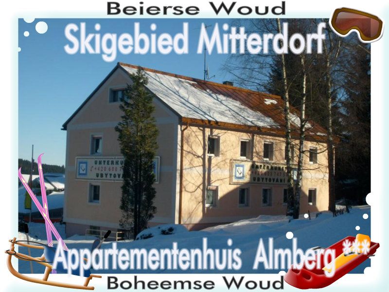 Appartement gebouw Almberg (skigebied Mitterdorf)